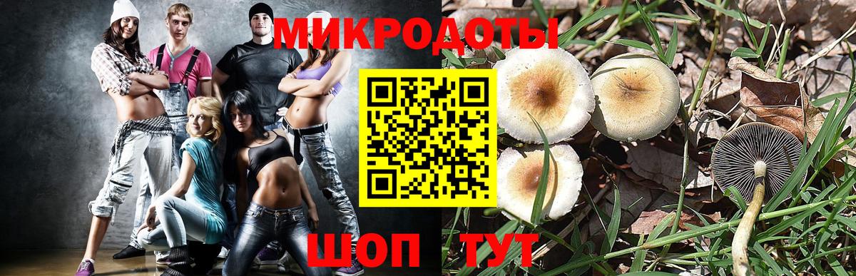 Галлюциногенные грибы Cubensis  Вход с VPN  где купить наркоту  Ступино  Галлюциногенные грибы Cubensis 